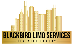 cropped-1_Transparent_Image-1